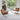 Knoll Barcelona Relax Lounge Chair